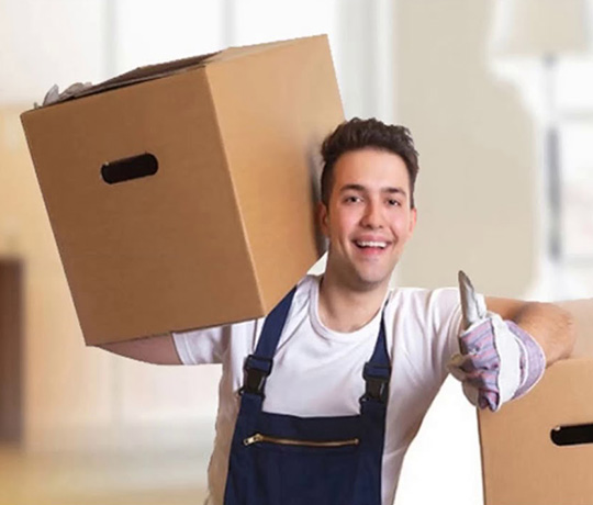 Abroad Removal Services