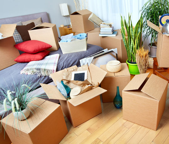 Flat Removal Services London Flat Removal Services London